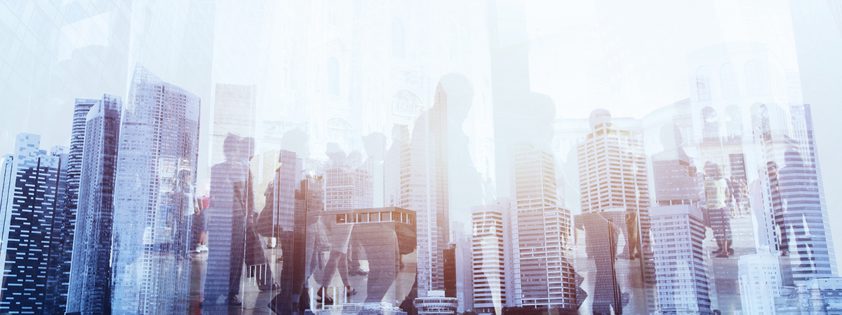 WhiteCollar_Proposal